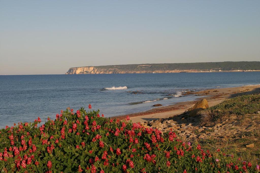 Finca El Abuelo Barbate Bilik gambar
